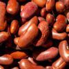 origin beans