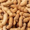 peanuts in shells