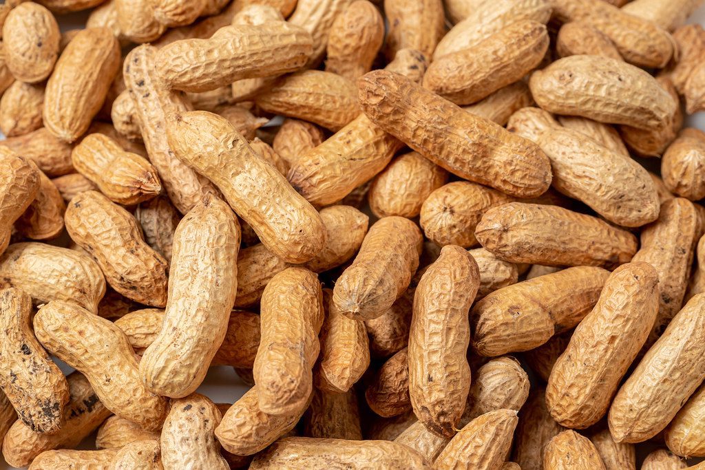 peanuts in shells