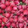radish red