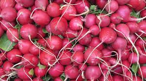 radish red