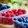 raspberries farm