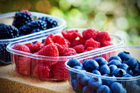 raspberries farm