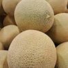 rockmelon