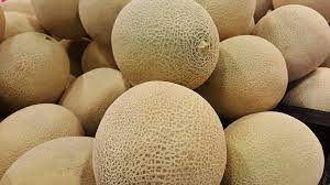 rockmelon