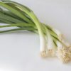 scallions