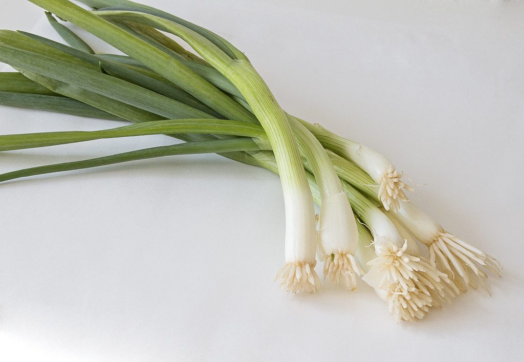 Scallions - Everything to know - auscrops.com.au