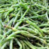 sea bean