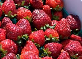 strawberries buy