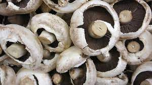 Swiss Mushrooms