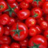 tomato polpa