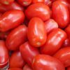tomatoes prices per kg