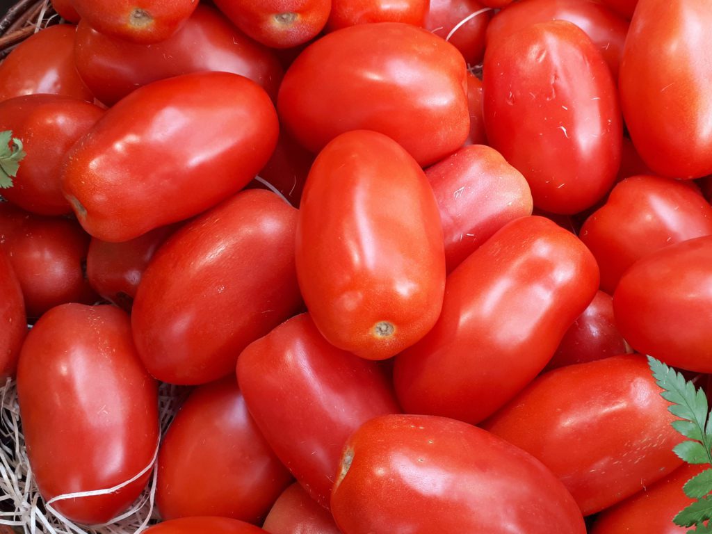 Tomatoes Prices Per Kg at Auscrops