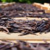 vanilla pod