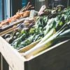 vegetable wholesalers
