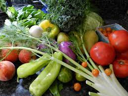 veggie hero