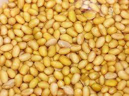 where to buy soy beans