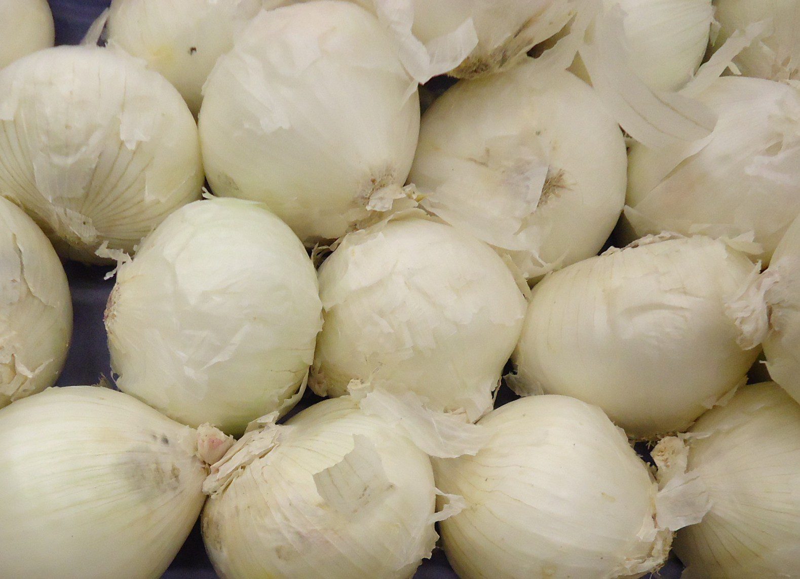 white onions