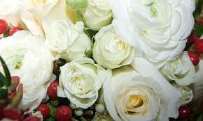 white roses