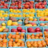 wholesale groceries