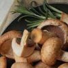 Chestnut Royale Mushrooms