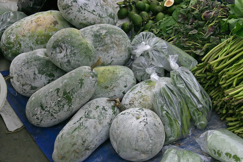 Wax gourd