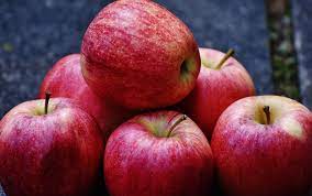 apple fruits