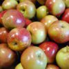 apple fuji