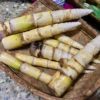 bamboo shoots