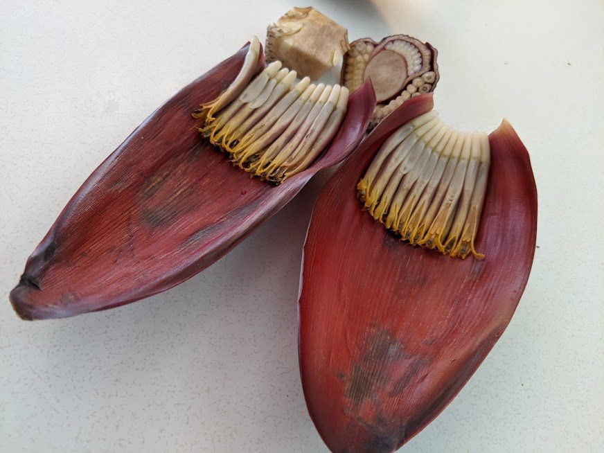 banana blossoms