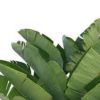 banana leaves
