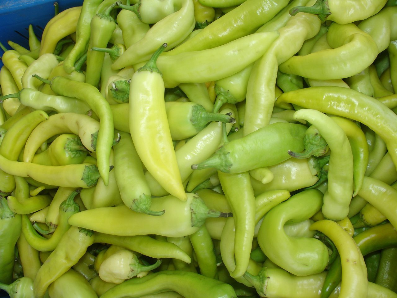 Banana Pepper - A Quick Guide - auscrops.com.au