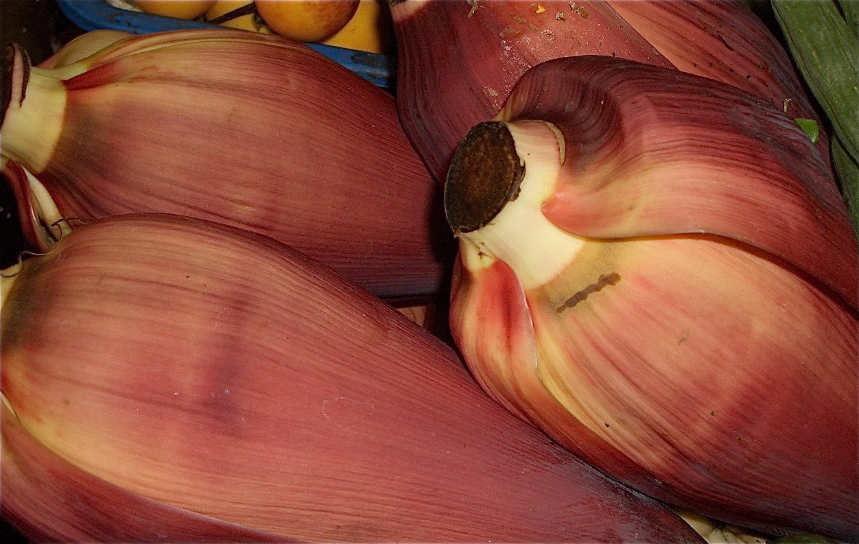 banana shallot