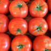 beefsteak tomato
