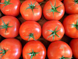beefsteak tomato
