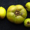 black sapote