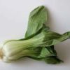 bok choy