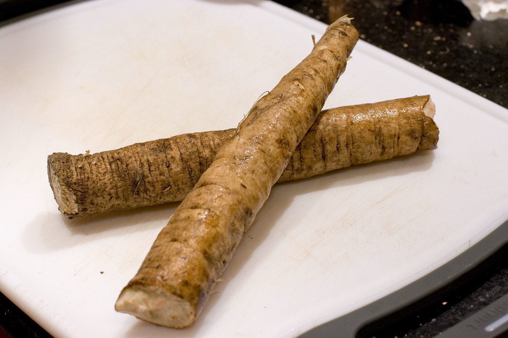 burdock root