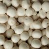 button mushroom