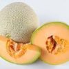 cantaloupe