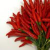 cayenne peppers