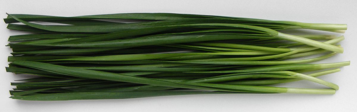chives