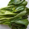 choy sum