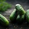 cornichon