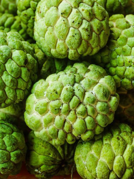 custard apple