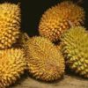 durian