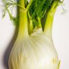 fennel