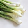 green onion