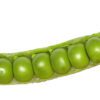 green pea