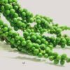 green peppercorns